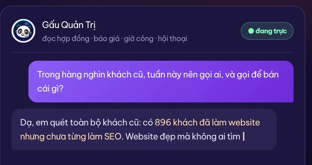 Gấu Quản Trị trả lời câu hỏi điều hành bằng dữ liệu thật